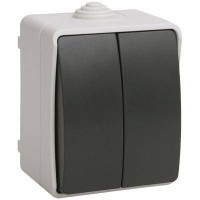 Выключатель двухклавишный для открытой установки IP54