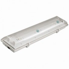 Светильник ЛСП3901А ABS/PS 2х18Вт IP65 ИЭК